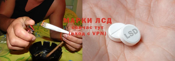 стаф Абаза
