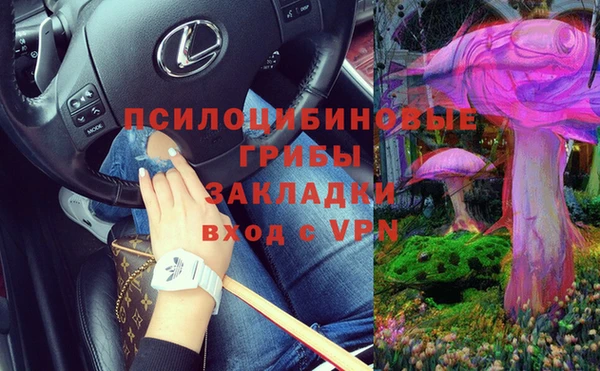 стаф Абаза