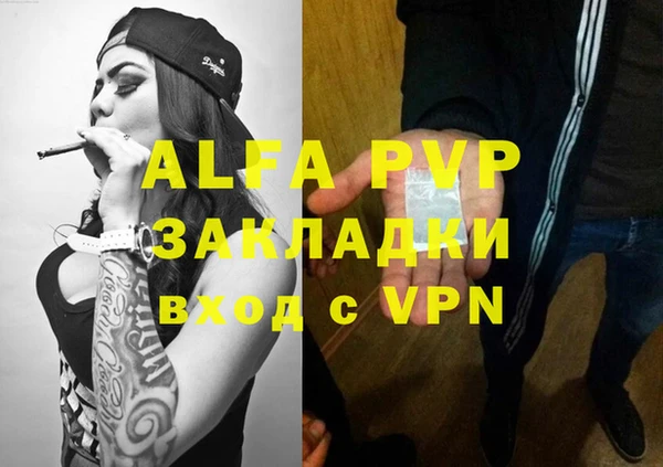 стаф Абаза