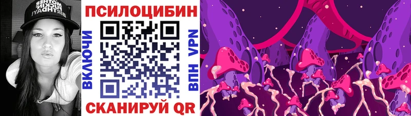 где найти наркотики  Химки  Псилоцибиновые грибы прущие грибы 