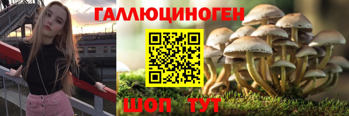 Галлюциногенные грибы прущие грибы Химки