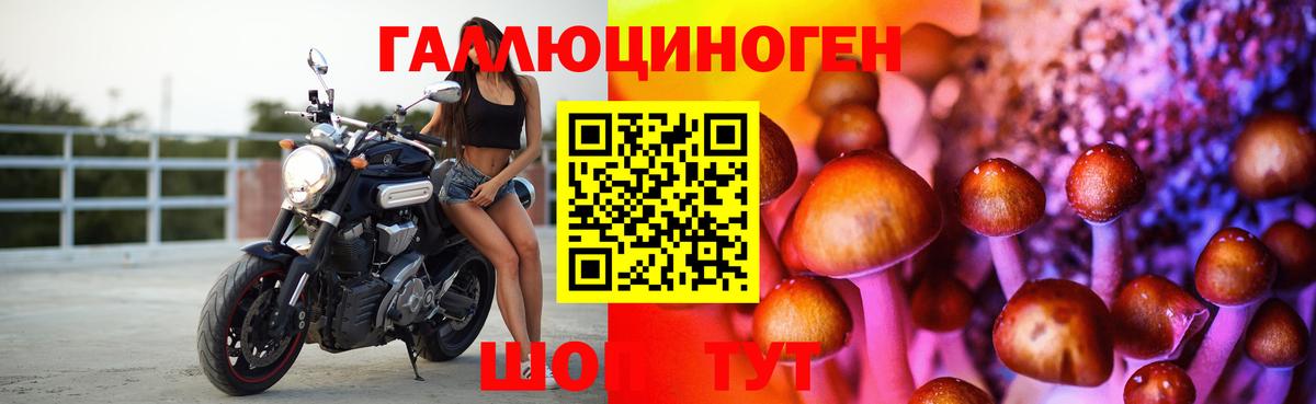 Химки  Псилоцибиновые грибы Psilocybine cubensis  Вход с VPN  где купить   Галлюциногенные грибы Cubensis 